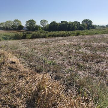 Imagine pentru Vând teren 