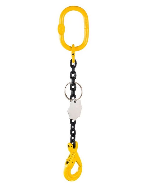 Dispozitiv ridicare  lant grad 80 macara · foto 3 din 3